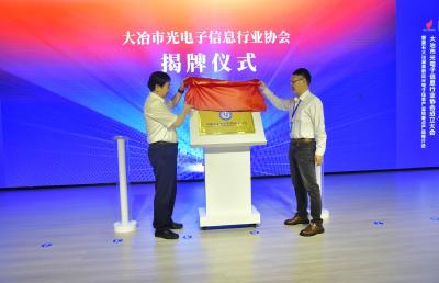 我市举行大冶市光电子信息行业协会成立大会暨黄石大冶湖高新区光电子信息产业链重点产品推介会