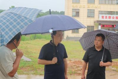 孙辄调研农村乱占耕地建房住宅类房屋专项整治试点工作 依法依规推进整治 守好耕地保护红线
