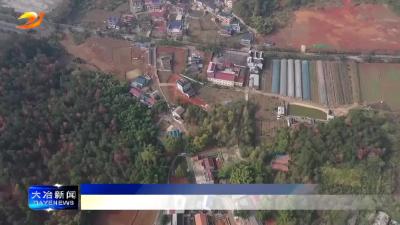 我市3乡镇上榜2024中国中部地区综合竞争力百强镇名单