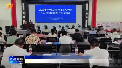 罗家桥街道举办法律明白人和人民调解员培训班
