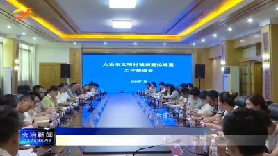 现场拉练交流学习 助力文明村镇创建