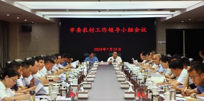 市委农村工作领导小组2024年第四次会议召开