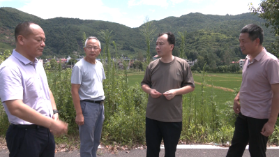 孙辄调研督导生态环境信访问题整改情况