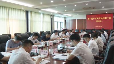 我市召开省、黄石市来大冶挂职干部座谈会