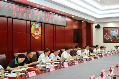市委平安大冶建设领导小组会议暨乡镇（街道）党（工）委书记信访维稳工作专题会议召开