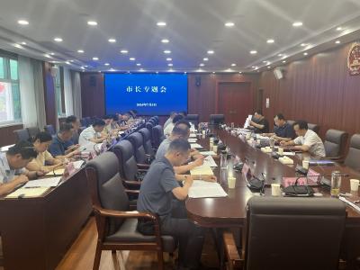 市政府召开专题会议 高质高效编制战略规划 抓好抓细供应链体系建设