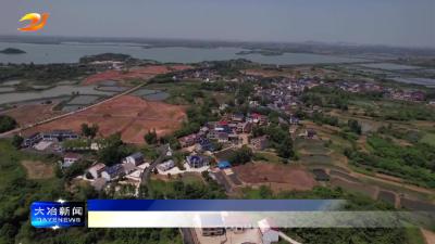 我市两家民企获评全省“万企兴万村”行动区域类优秀案例