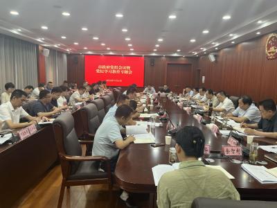 市政府党组会议暨党纪学习教育专题会召开 从严从实抓好党的纪律建设 以工作实效检验党纪学习教育成果