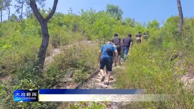 茶产业链建设督导组赴各乡镇指导抗旱保苗工作