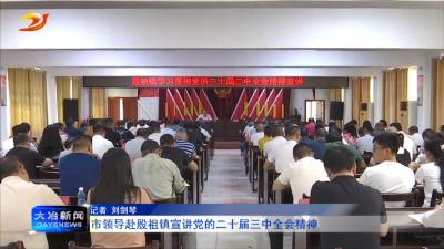 市领导赴殷祖镇宣讲党的二十届三中全会精神