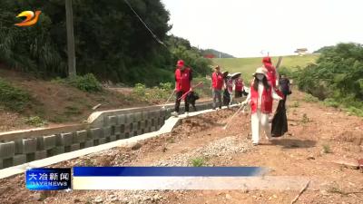 简讯：市水利和湖泊局开展水环境保护志愿服务活动