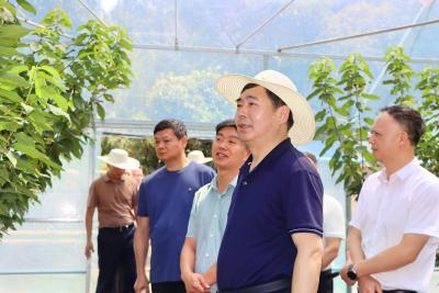 【学习贯彻党的二十届三中全会精神】郝胜勇赴乡镇村湾宣讲党的二十届三中全会精神并调研小流域综合治理试点工作