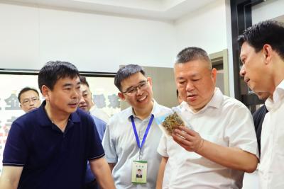 麻城市来我市考察学习数智化病理服务体系建设工作
