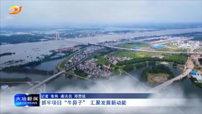 抓牢项目“牛鼻子”  汇聚发展新动能