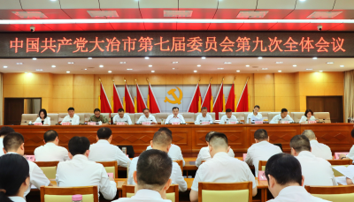 让“新质”与“高质”双向奔赴——中共大冶市第七届委员会第九次全体会议侧记