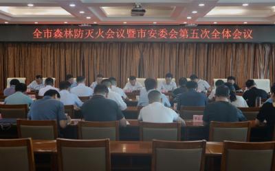 市政府召开专题会议  落实落细安全生产各项举措  推动招商选资工作取得新突破