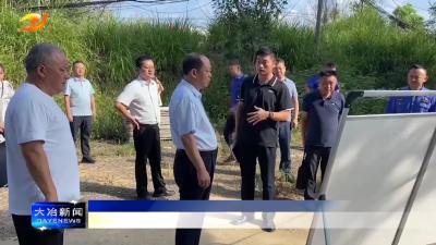 市人大常委会调研全市查违控违工作