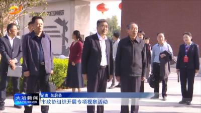 市政协组织开展专项视察活动