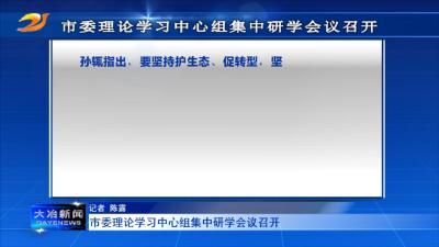 市委理论学习中心组集中研学会议召开