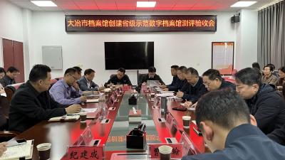 市档案馆通过省级示范数字档案馆测评验收