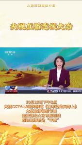 央视直播连线大冶