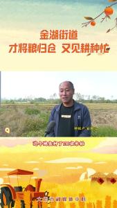 金湖街道：才将粮归仓 ，又见耕种忙。