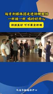 匈牙利媒体团来我市劲牌展馆参观访问，亲身体验劲酒的魅力。