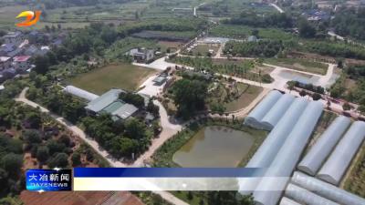 简讯：我市2名选手荣获湖北省农村实用人才创业创新大赛大奖