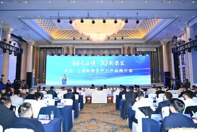 2024大冶·上海新质生产力产业投资推介会举行