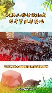 大冶人的舌尖狂欢 万斤甲鱼免费吃