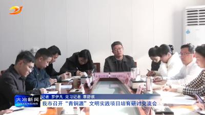 我市召开“青铜源”文明实践项目培育研讨交流会