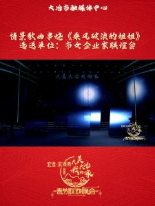 宏维·滨湖湾“大美大冶我的家”2025年春节联欢晚会—《乘风破浪的姐姐》