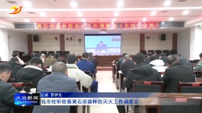 我市收听收看黄石市森林防灭火工作调度会