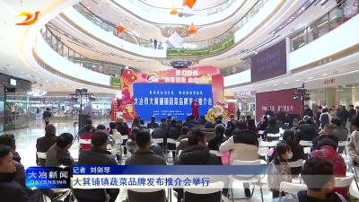 大箕铺镇蔬菜品牌发布推介会举行