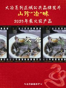 大冶系列区域公共品牌发布山珍“冶”味 2025年最火农产品