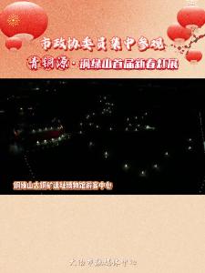 大冶市政协委员集中参观青铜源·铜绿山首届新春灯展