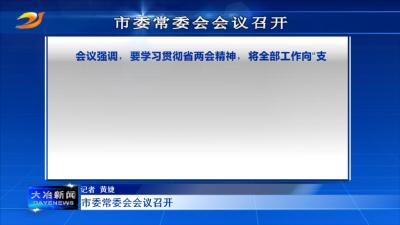 市委常委会会议召开