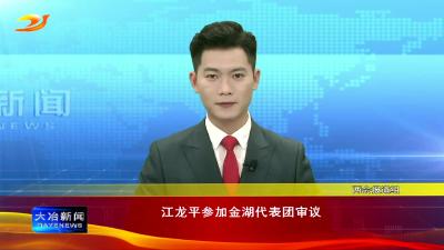 江龙平参加金湖代表团审议