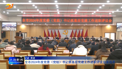 全市2024年度党委（党组）书记抓基层党建工作述职评议会议召开