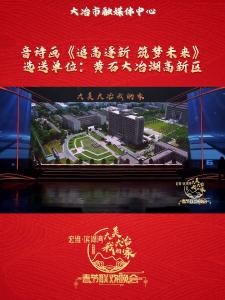 宏维·滨湖湾“大美大冶我的家”2025年春节联欢晚会—《追高逐新  筑梦未来》