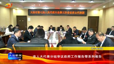 市人大代表分组审议政府工作报告等系列报告