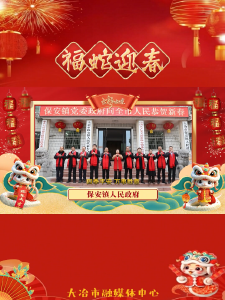 保安镇祝全市人民新年快乐！