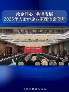 政企同心 共谋发展——2025年大冶市企业家座谈会召开