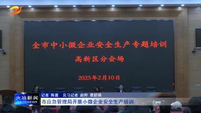 市应急管理局开展小微企业安全生产培训