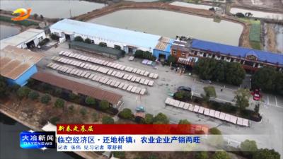 临空经济区·还地桥镇：农业企业产销两旺