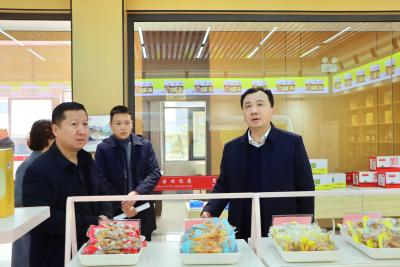 【奋战 开门红】孙辄到临空区·还地桥镇调研 统筹规划生态空间基础设施产业布局 以镇域“开门红”支持全市“开门红”