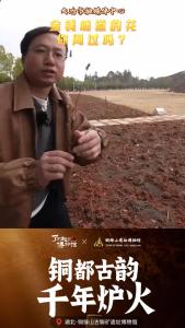 金钱味道的花你闻过吗？