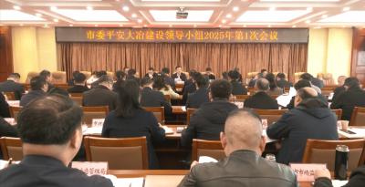 市委平安大冶建设领导小组2025年第1次会议召开