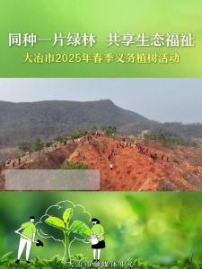 同种一片绿林 共享生态福祉