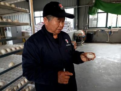一只阳新屯鸟的高质量成长日记